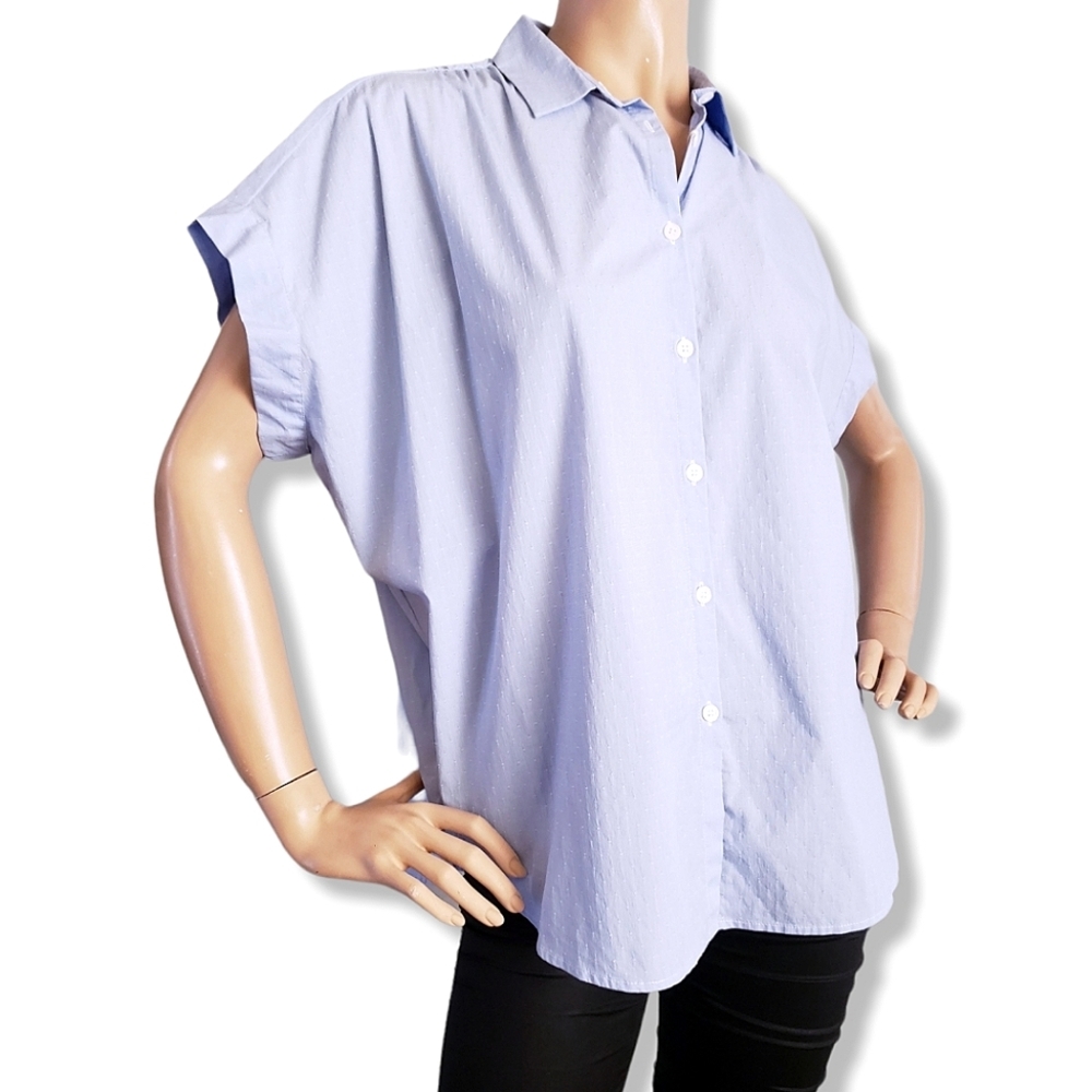 Soho Threads Blue Light Swiss Dot Button Down Blouse